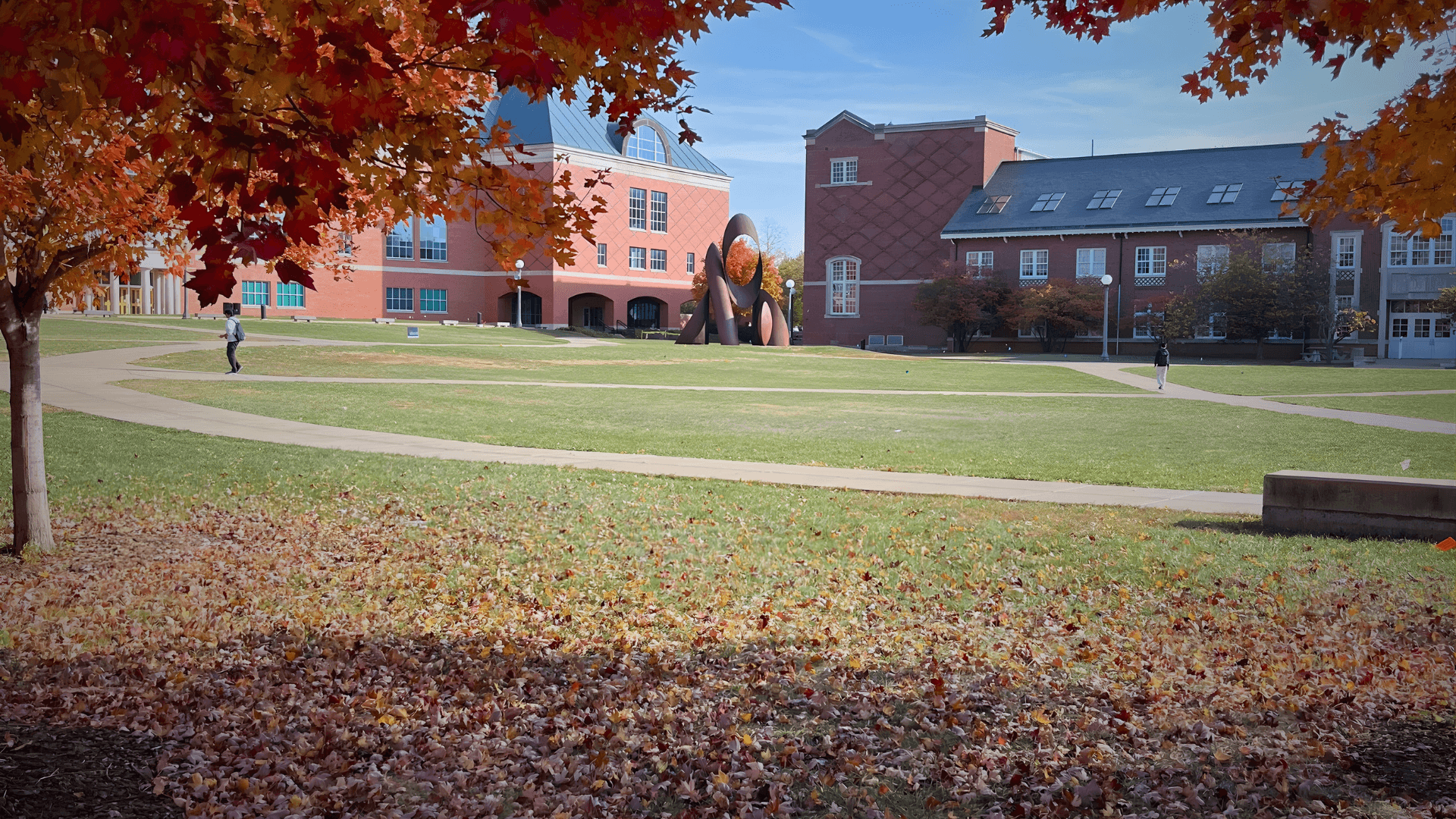 SEED hero background